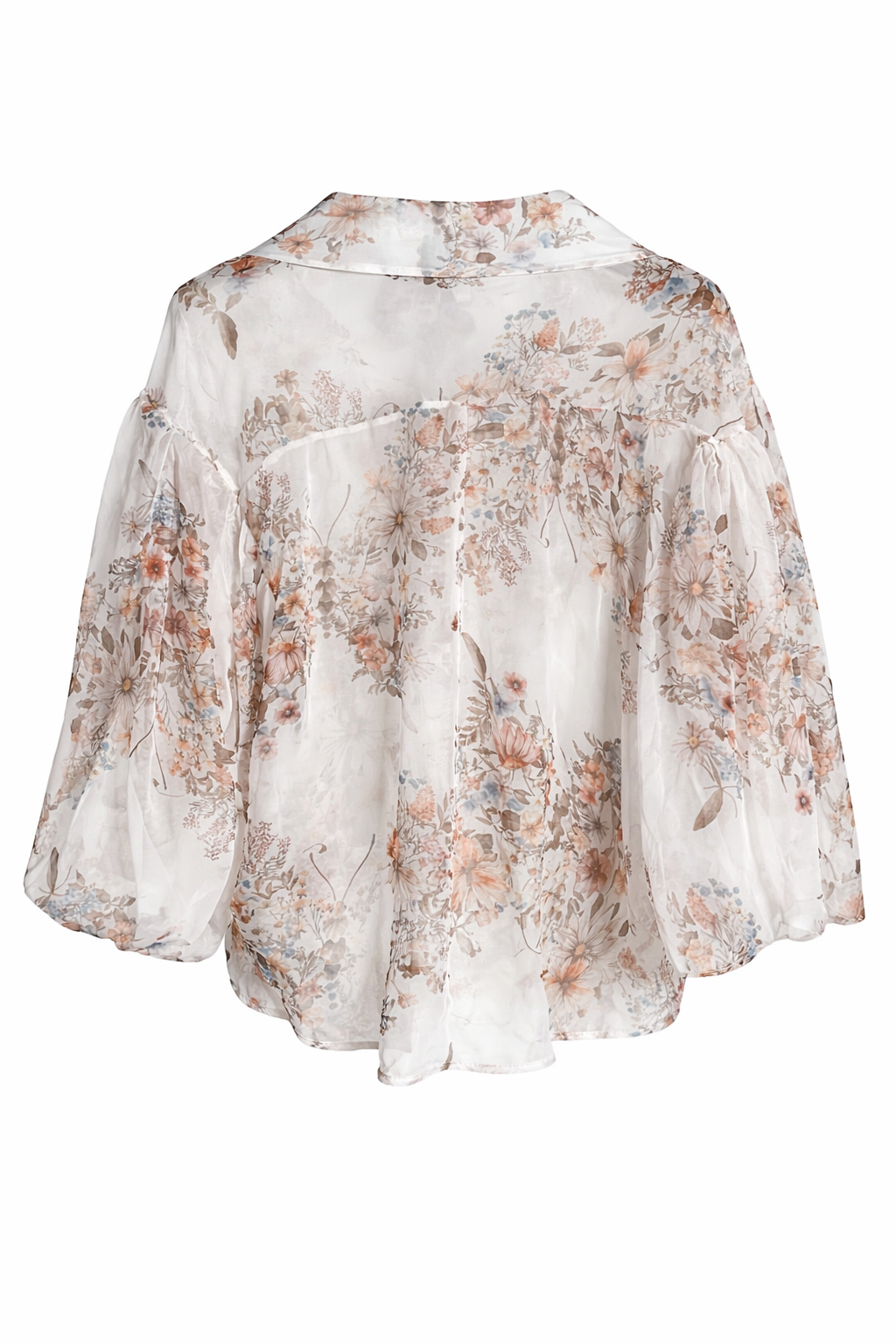 Enchanted Sheer Blouse Cream