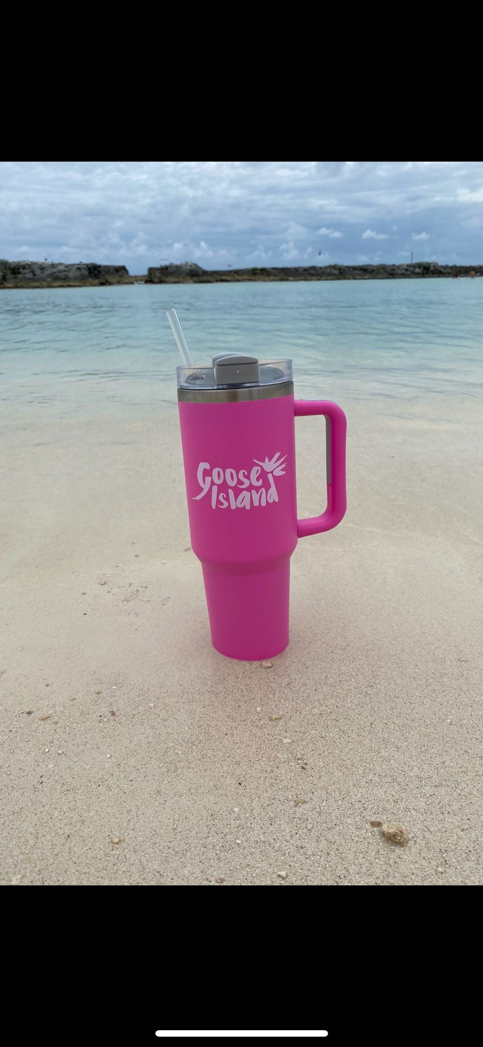 Goose Island Tumbler