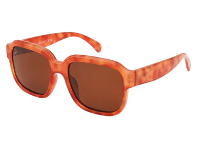 Pedro Sunglasses Honey Tortoiseshell